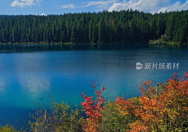 俄勒冈州的Clear Lake Zen